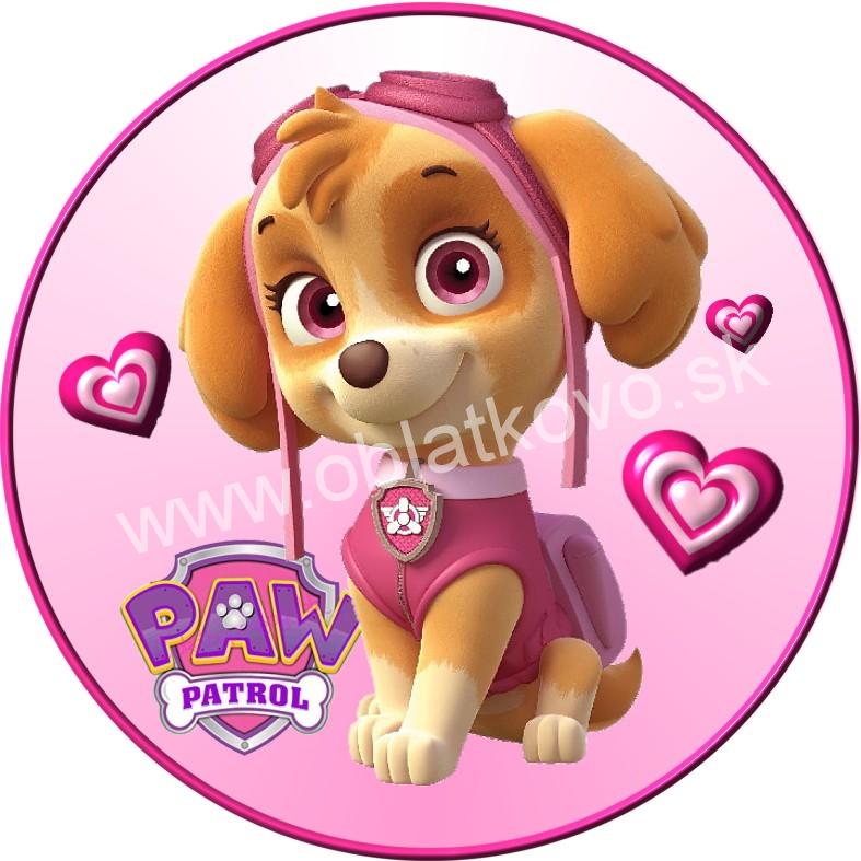 Paw patrol girl2