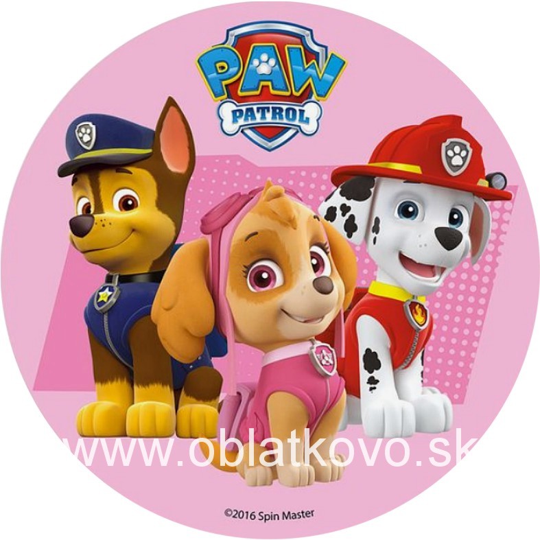 Paw patrol5