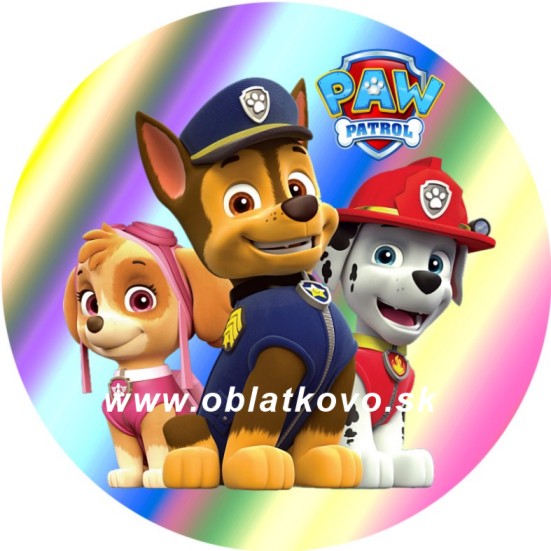 Paw patrol 7