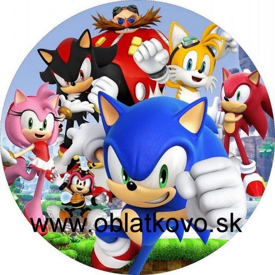 Ježko Sonic4