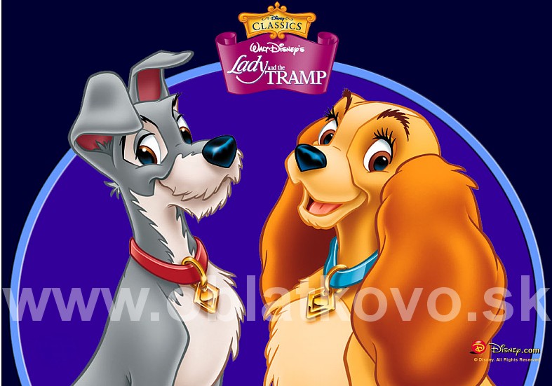 Lady a Tramp