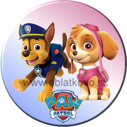 Paw patrol 4